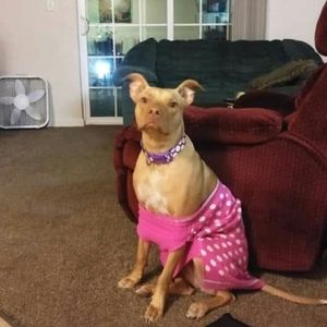 Meet your Posher, Shannon